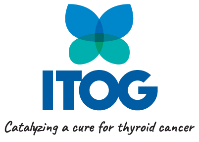 ITOG Test Product